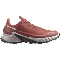 Buty Salomon Alphacross 5 W 473136 damskie