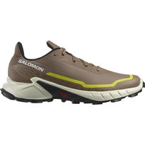 Buty Salomon Alphacross 5  474601