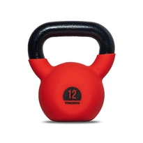 Kettlebell THORN FIT Gumowany 12kg