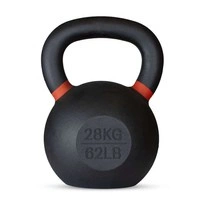 Kettlebell THORN FIT CC 2.0 Color coded Kettlebell 32kg