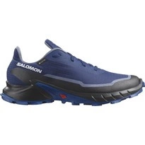 Buty Salomon Alphacross 5 GTX  473092